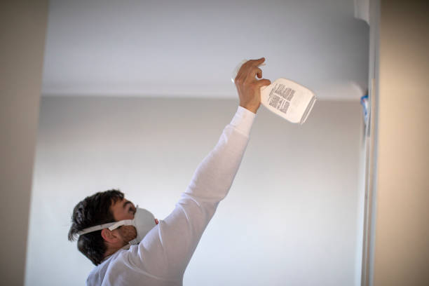 Home Mold Removal in Sierra Madre, CA