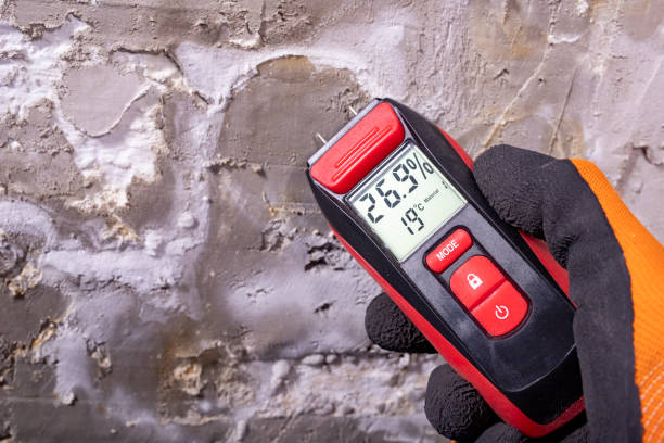 Best Affordable Mold Removal  in Sierra Madre, CA