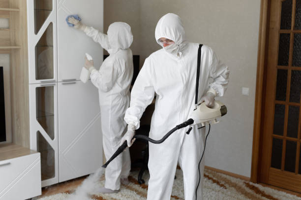 Professional Mold Removal in Sierra Madre, CA