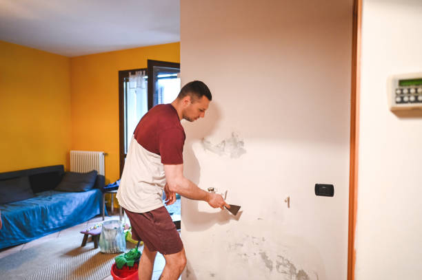 Best Attic Mold Removal  in Sierra Madre, CA